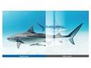 BENQ RM6503 | Display Interactivo Master Education 65"
